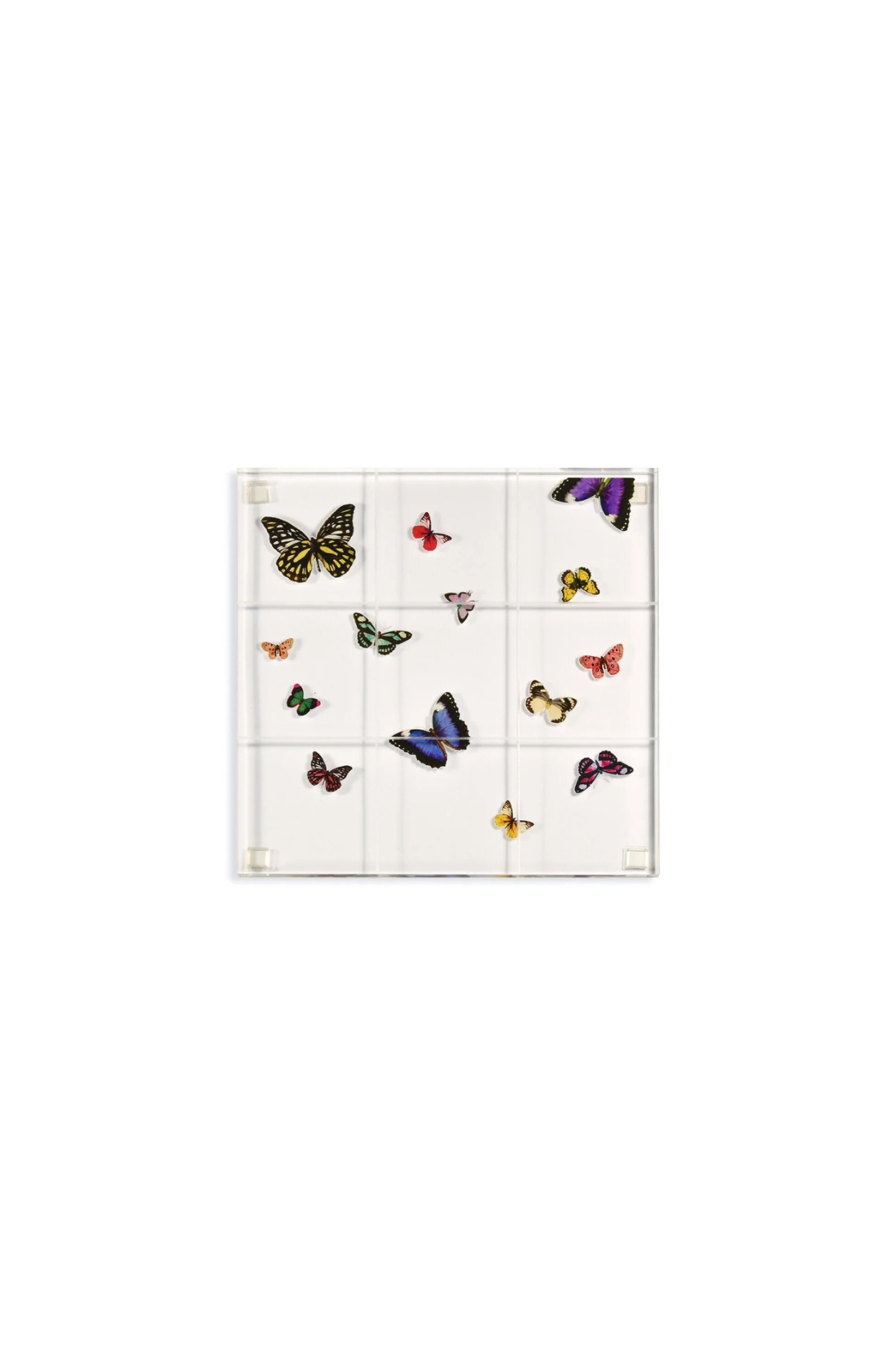 Butterfly Tic Tac Toe