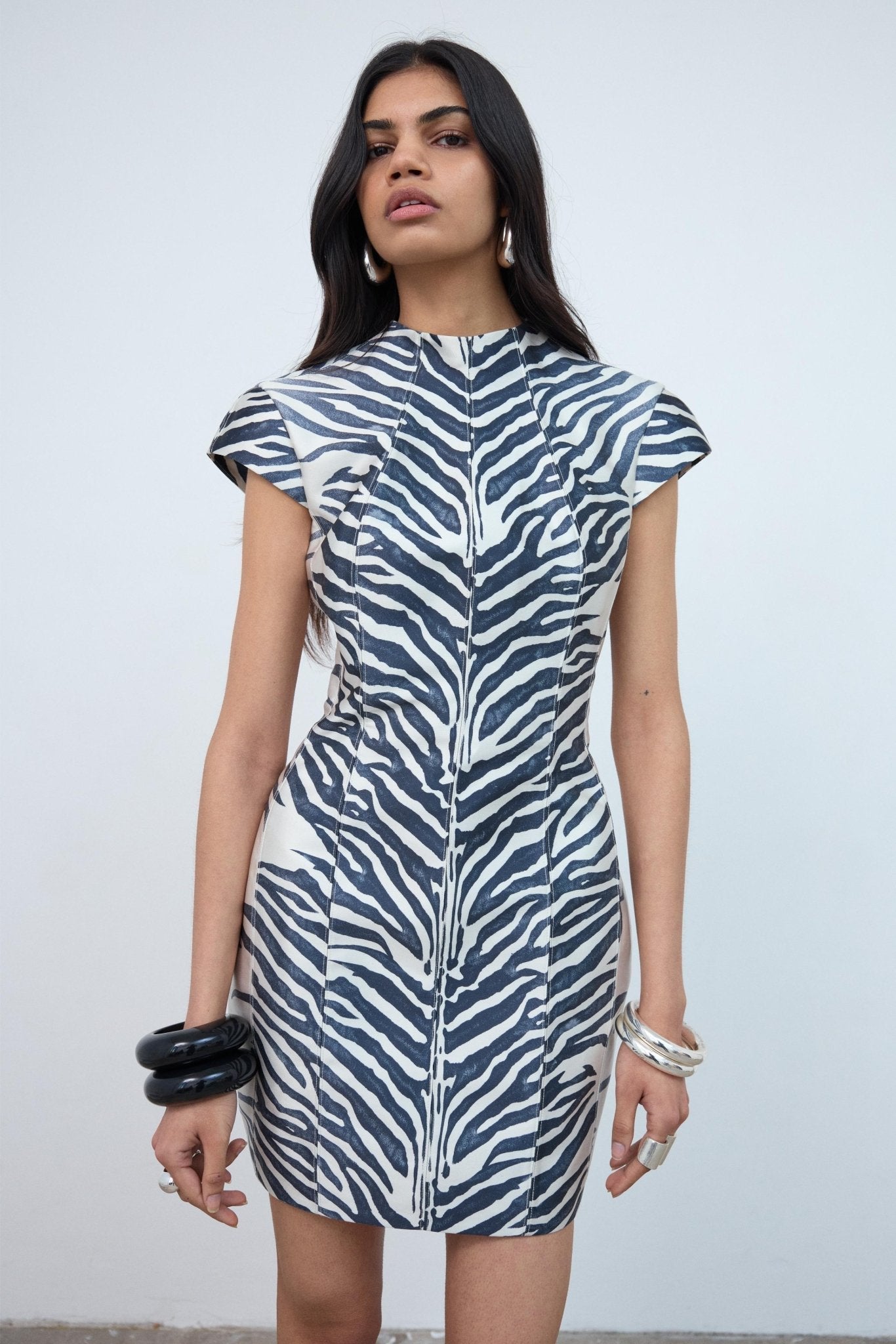 Zena Mini Dress in Zebra Printed Twill