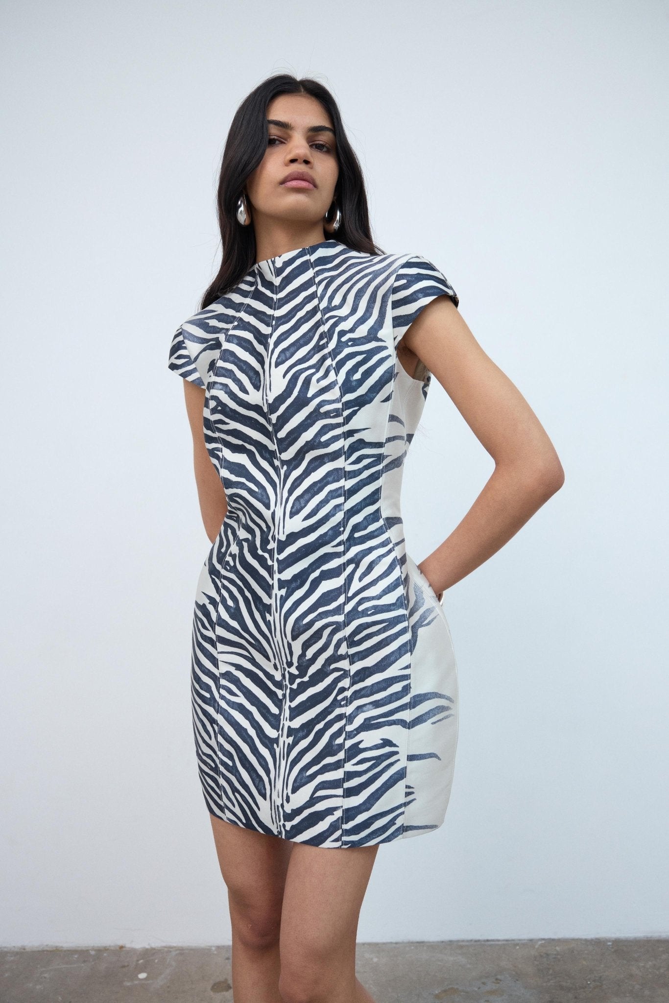 Zena Mini Dress in Zebra Printed Twill