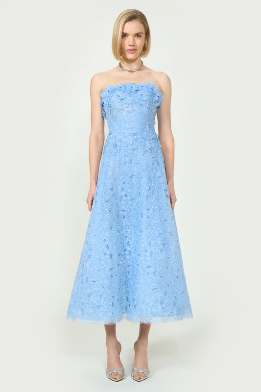 Anessa Embroidered Organza Strapless Midi Dress