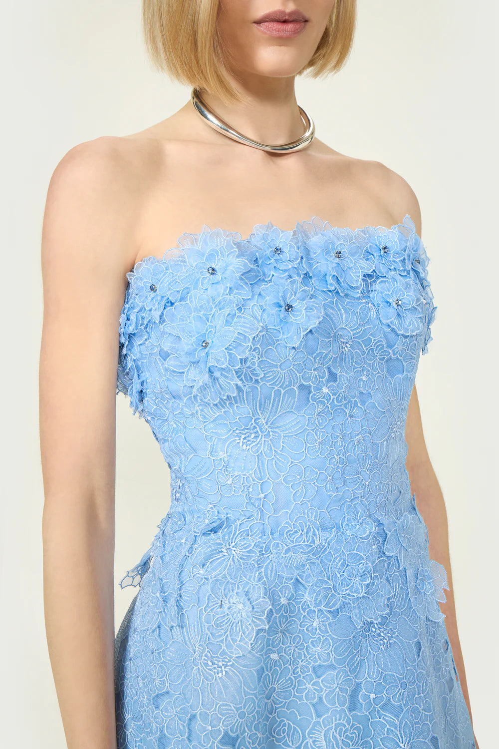 Anessa Embroidered Organza Strapless Midi Dress