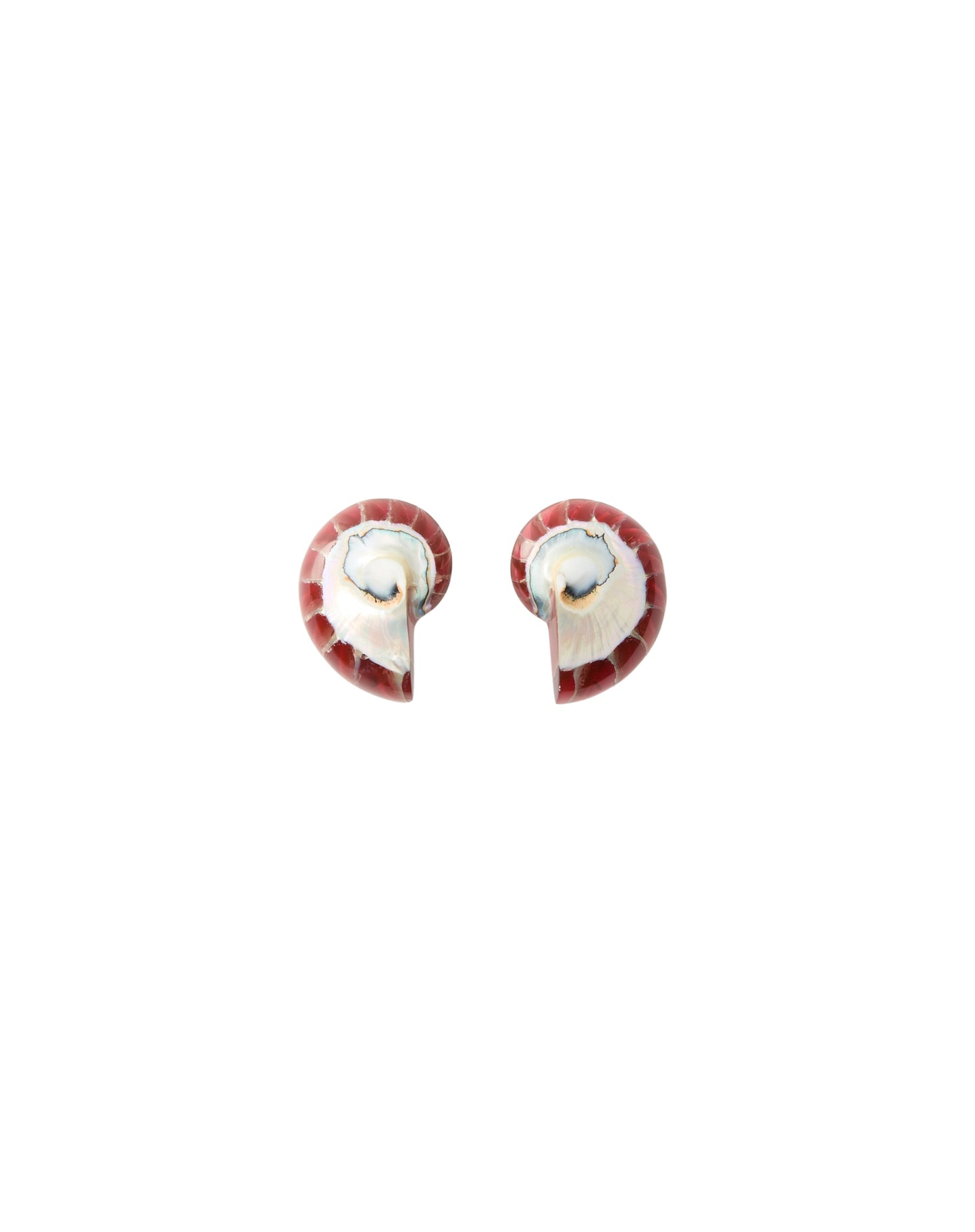 Nautilus Earrings