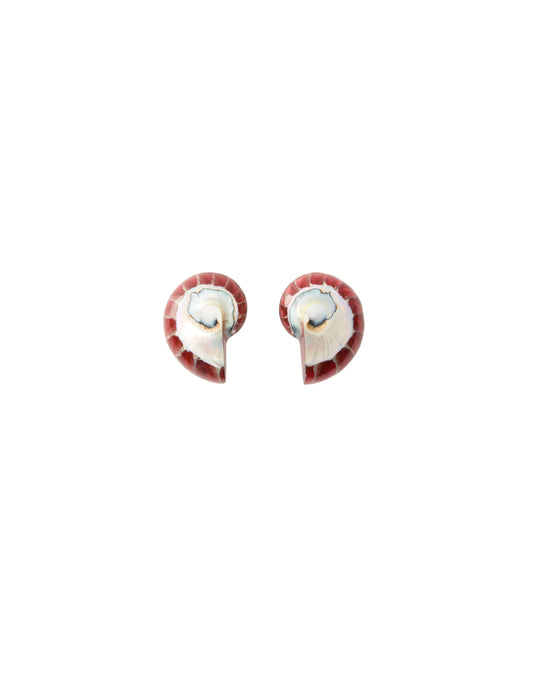 Nautilus Earrings