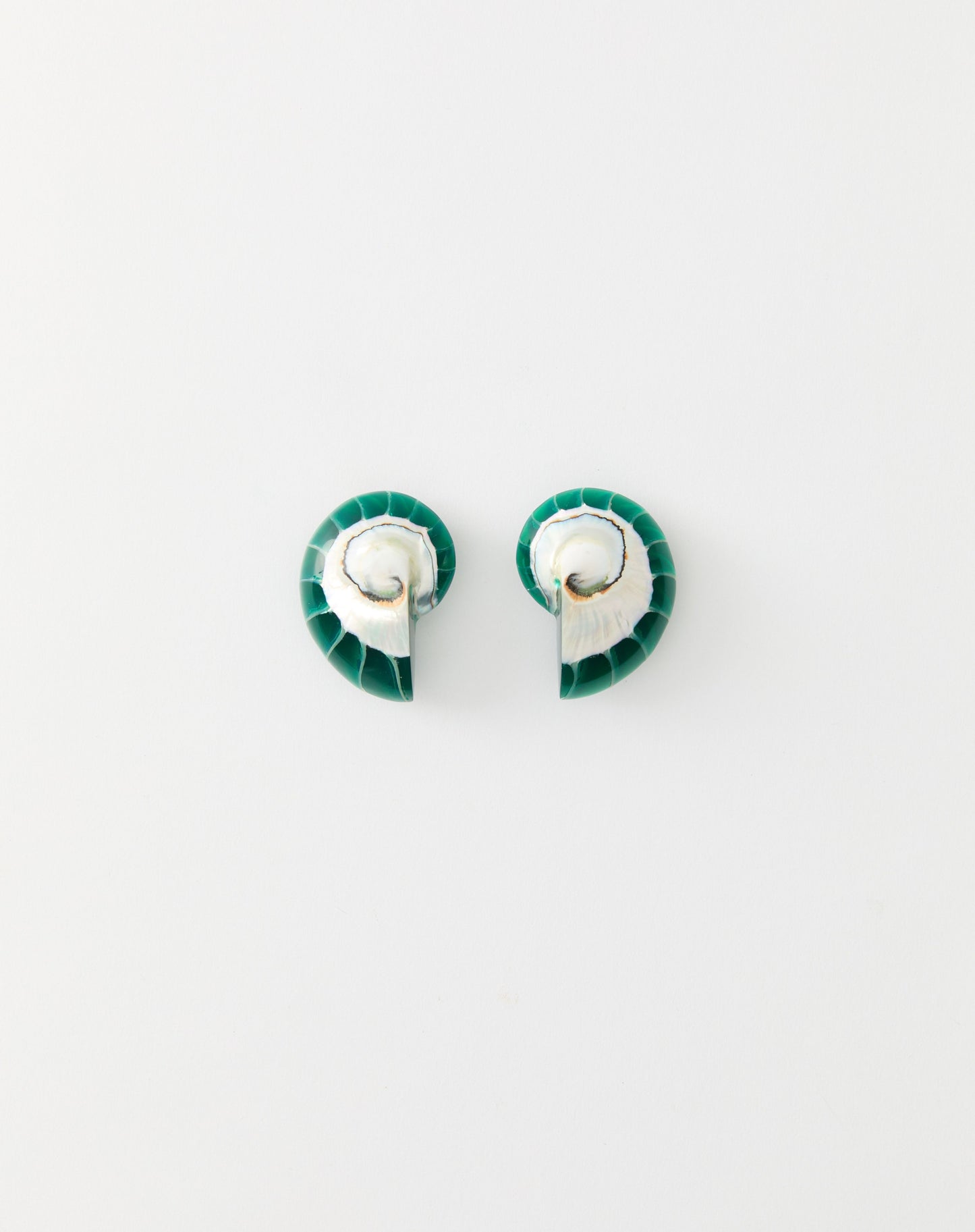 Nautilus Earrings